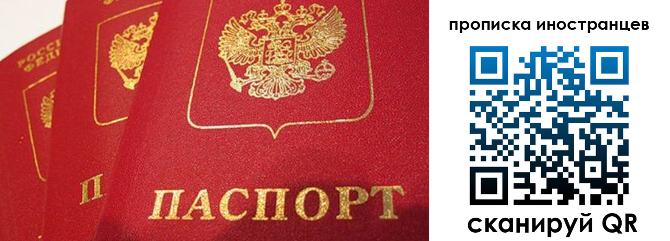 прописка поиск в Корсакове